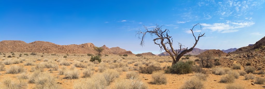 A hot, arid desert with no water in sight.